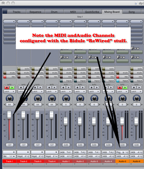 Bidule-DP7 ReWired 02