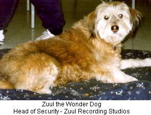 Zuul the Wonder Dog.